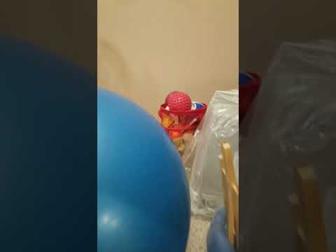 Max plays with a toy (not really)