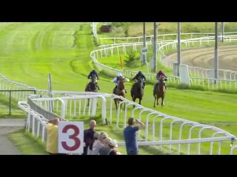 2019.08.01 Lanwades Stud Stakes (NOR) - Appelina