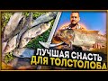 📌МЕШОК ТОЛСТОЛОБА!!!  Как успешно ловить и на что!! Рыбалка с ночевкой