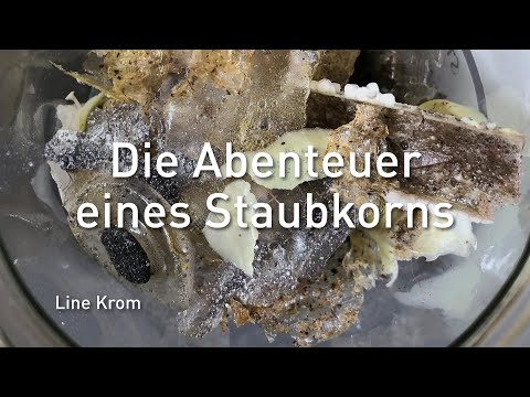 RÜCKBLICK! Die Abenteuer eines Staubkorns | Line Krom