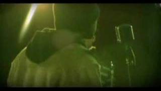 South Border-Too Crazy