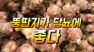 당뇨 있으면 그냥 지나치지 마시고 이걸 드세요