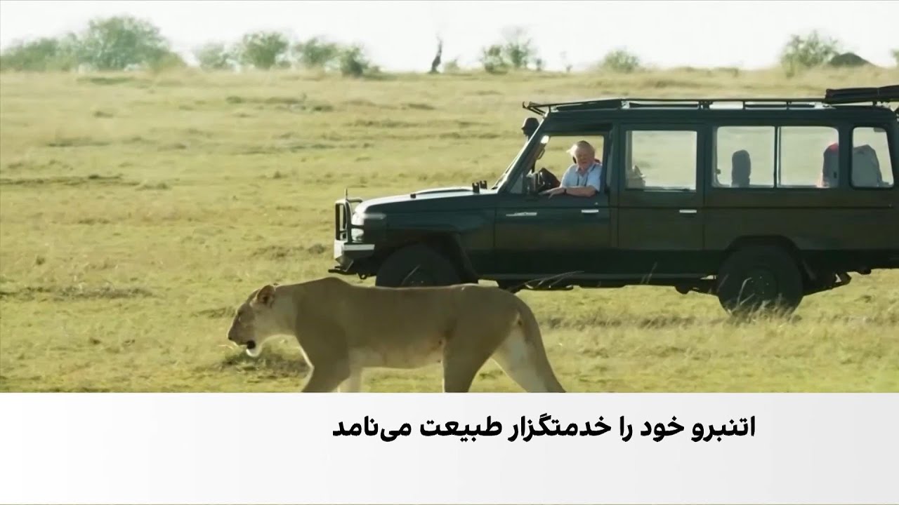 دیوید اتنبرو، راوی نام‌آشنای طبیعت، ۱۰۰ ساله شد