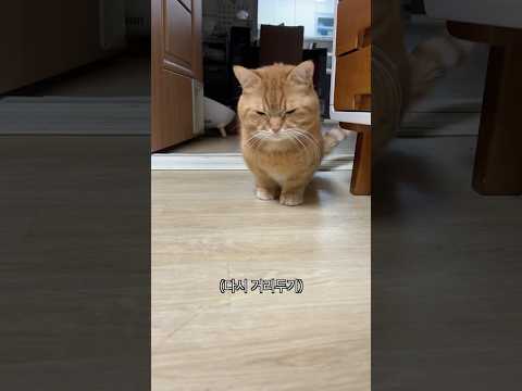 삐돌이 덕배를 유혹하는 방법!