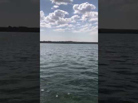 Santo Inacio/PR #nature #rioparapanema  #natureza