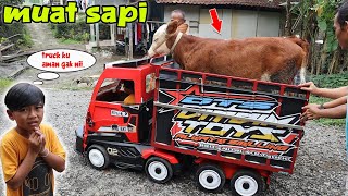 Download lagu MUATAN SAPI truk dimas muatan sapi beneran kuat ga... mp3