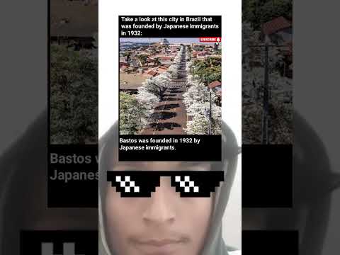 Assaí, Brazil 🇧🇷 | The City Founded by Japanese Immigrants in 1932