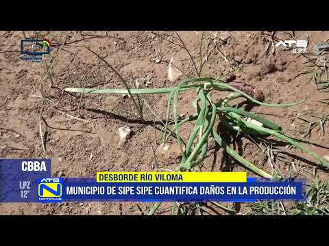 Desborde del río Viloma afecta cultivos en Sipe Sipe