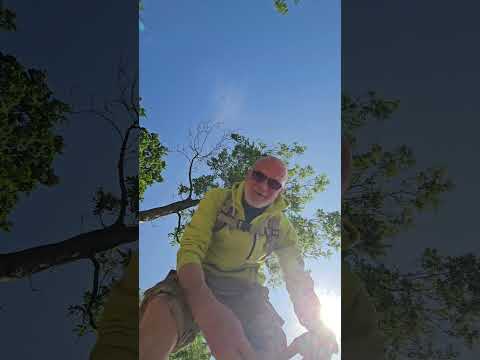 Honda monkey 125 21.0625 Widuchowa nad Odrą