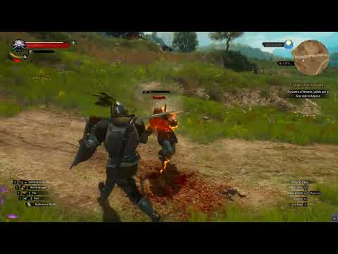 The Witcher 3 :  More Gryphon Knight Armour