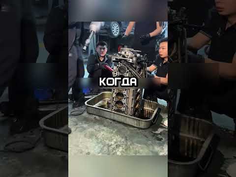 Он пошел против правил #shorts