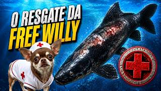 ACHAMOS QUE A FREE WILLY NÃO IA RESISTIR… 😭