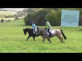 How to add flashiness and power with Lucinda Fredericks | Horse&Rider