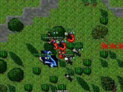 Tibia Black Widows on aldora