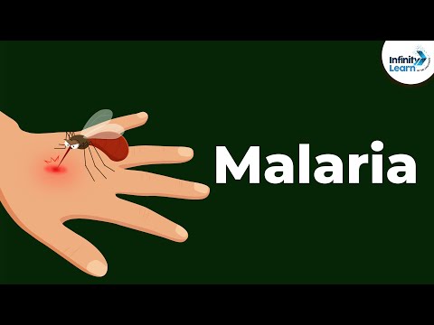 Malaria and Life Cycle of Plasmodium | Diseases | Infinity Learn NEET