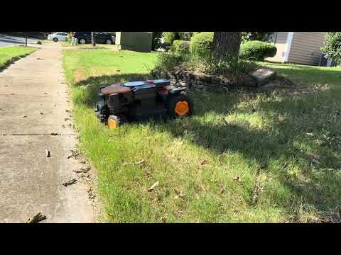 User submitted video