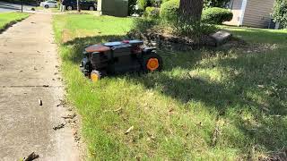 Navigating around tree bed and slope at the same time!!! A beast!!!