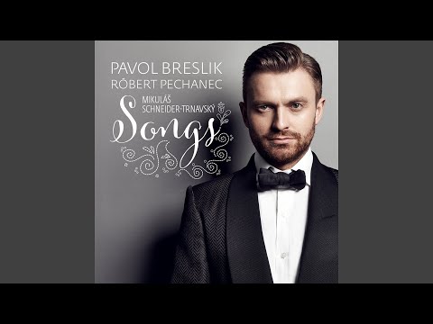 Keby Som Bol Vtáčkom