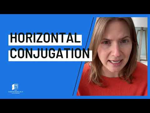 Horizontal Conjugation : IGTV Original