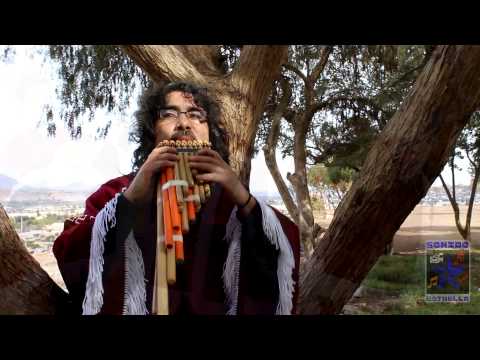 Vientos del Pueblo El Sol de Papá Oficial