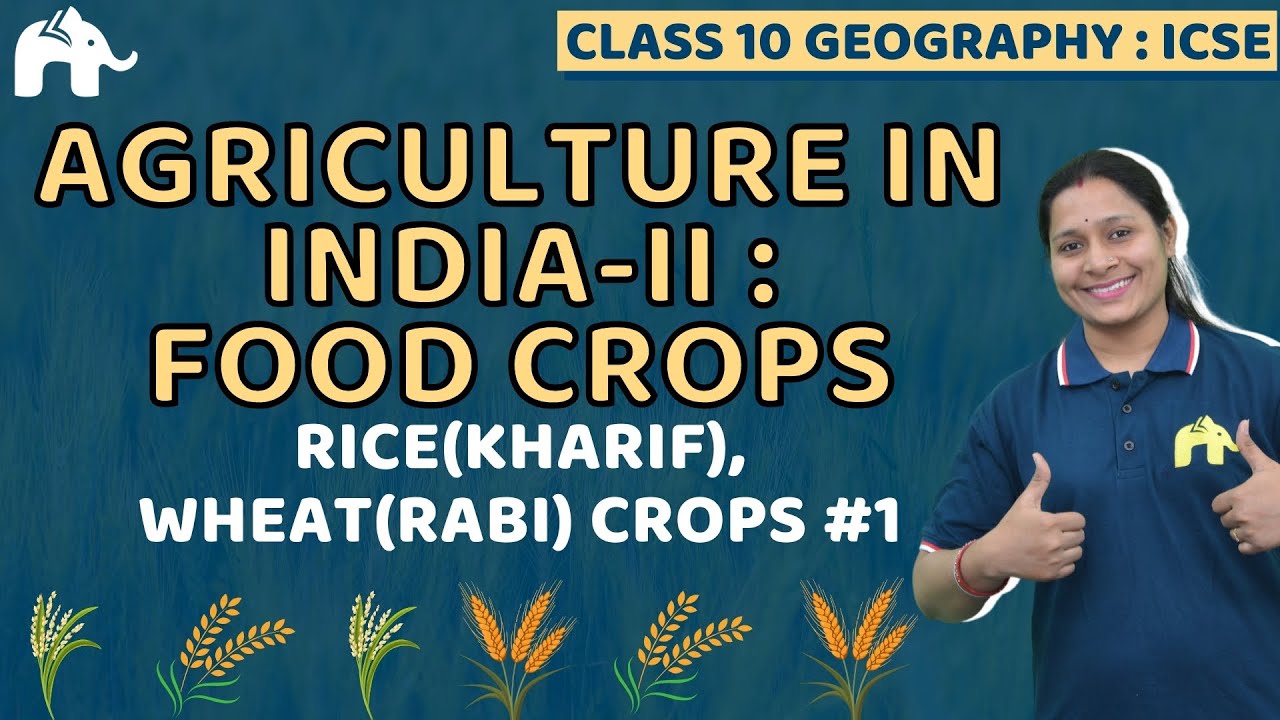 Agriculture in India-II:Food Crops  Class 10 ICSE Geography Chapter 11 | Kharif, Rabi Crops #1