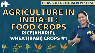 Agriculture in India-II:Food Crops  Class 10 ICSE Geography Chapter 11 | Kharif, Rabi Crops #1