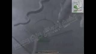 تلاوة عطرة لفضيلة الشيخ ابو بكر عزت
