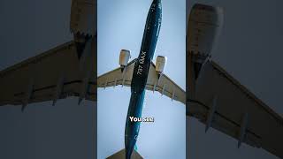 Download lagu The Story of Lion Air Flight 610 😞 (sad) mp3 Download lagu The Story of Lion Air Flight 610 😞 (sad) mp3