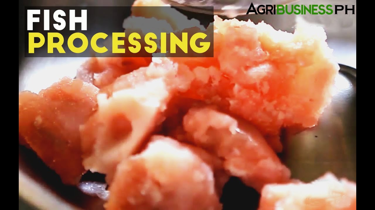 Value added products from fish processing #AgriculturePhilippines