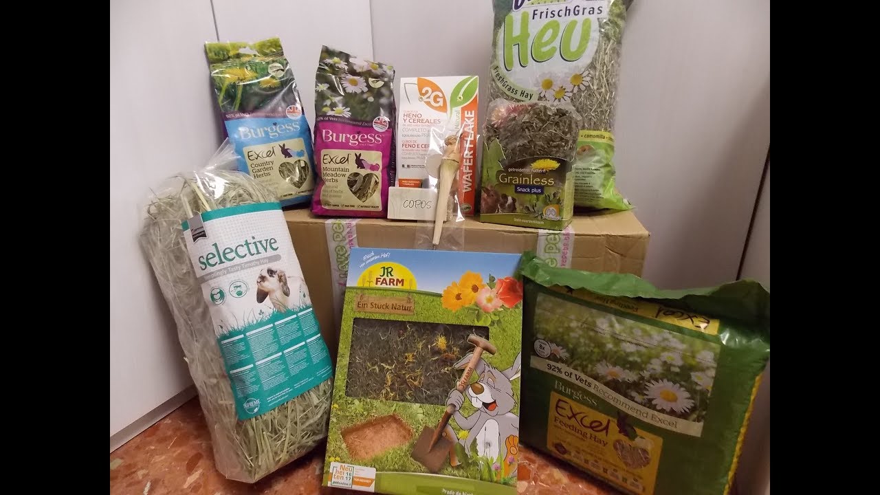 Watch video Unboxing de LovePets!! Now Unboxing de LovePets!!