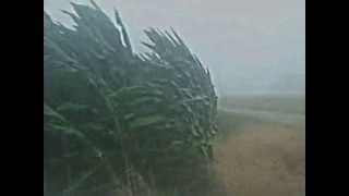 preview picture of video 'Severe wind Thunderstorm 06-15-2010'