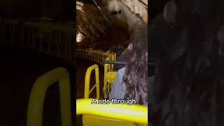 An Incredible Train Ride Through the Best Cave in Slovenia! 🇸🇮