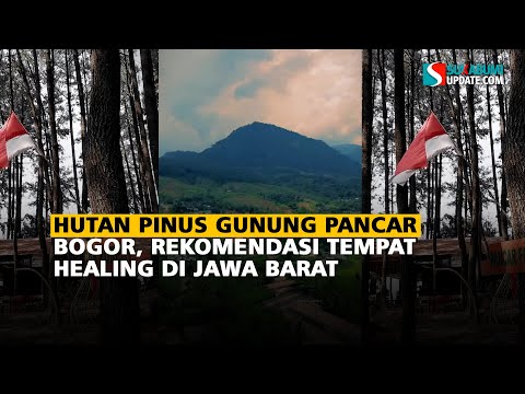 Hutan Pinus Gunung Pancar Bogor, Rekomendasi Tempat Healing di Jawa Barat