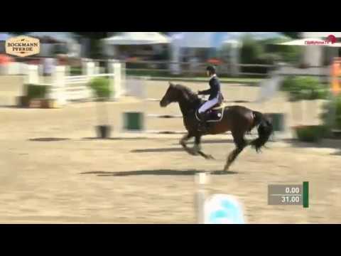 "Christopher Robin" - 9 j. Hengst v. Caretino x Contender