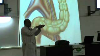 Dr Sherif Fahmy Da3m Abdomen 9 (Sigmoid colon)