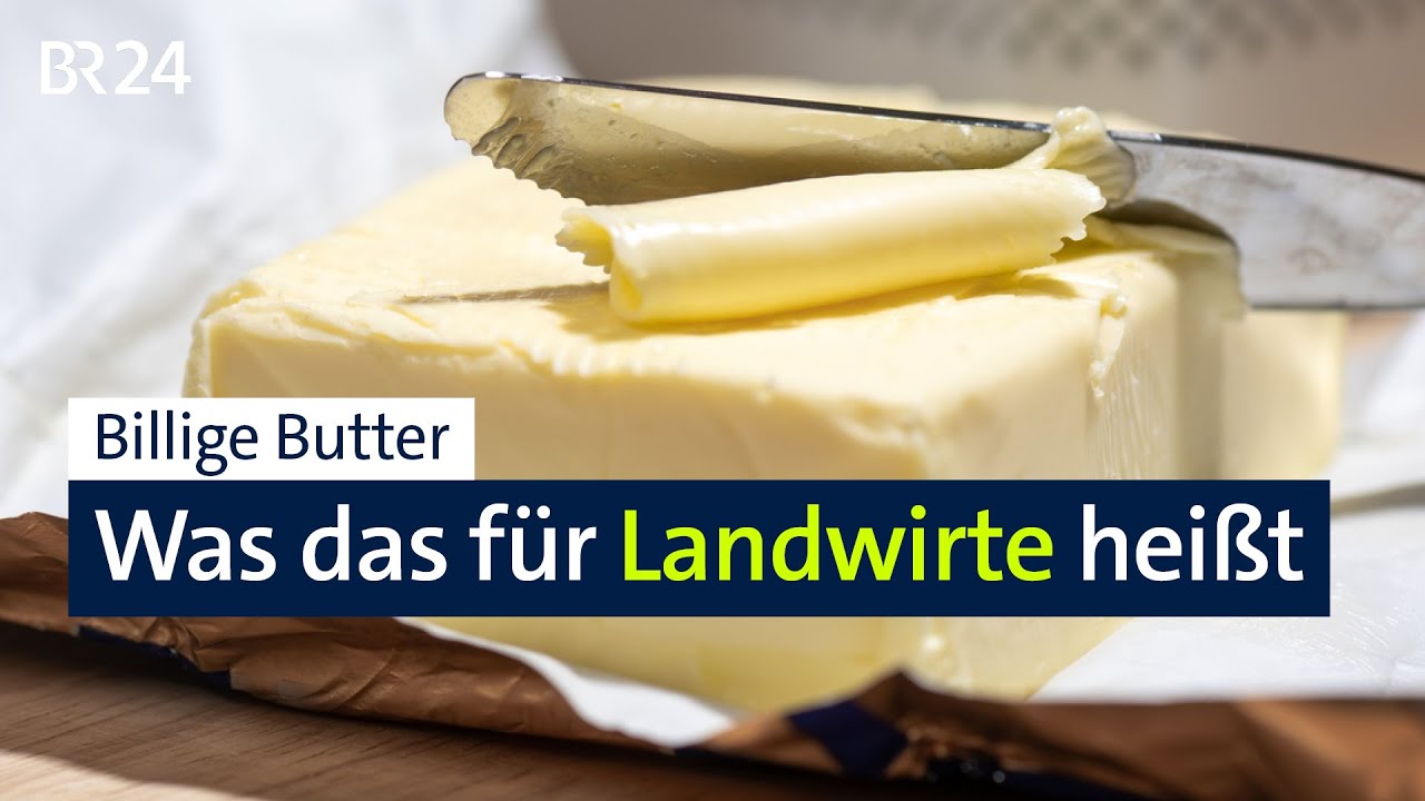 Niedrige Butterpreise: Die Gründe – und die Folgen für Landwirte | BR24