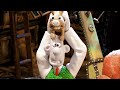 WALLACE GROMIT THE CURSE OF THE WERE RABBIT Clip Rabbit Rehabilitation 2005