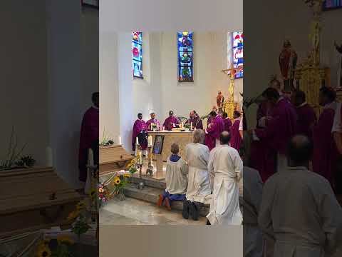 Good bye Augustine........