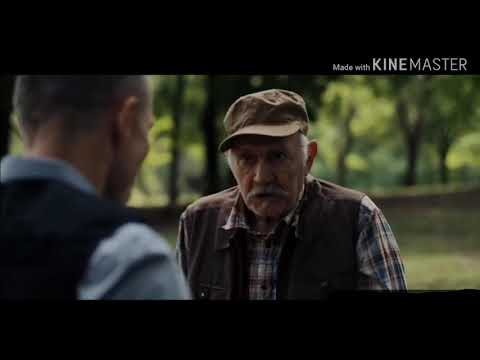 Juzni vetar - Stupar moj izvor je pouzdan