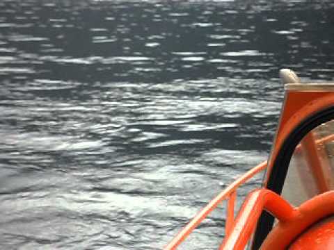 Странное поведение Телецкого озера!!! мертвая птица!!!