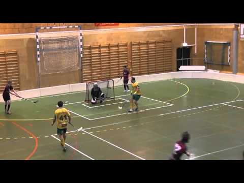 Ellingsrud1 BMIL 2 6