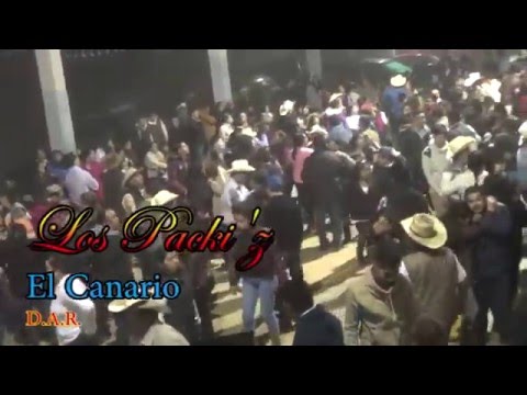 InciJaneth’s Video 135644163448 BVWniIn4Mzs