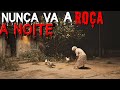 Ninguém Explica O Que Aconteceu Aqui Assombrações Na Vida Da Roça