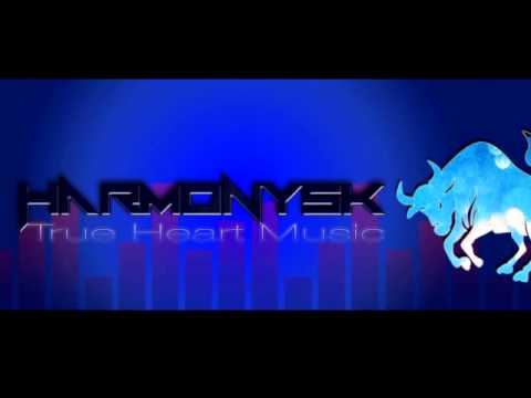 .::Harmonysk::. - Gedankengang...