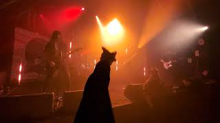 DZ Deathrays - Reflective Skull (Live at The Triffid, 21/06/24)