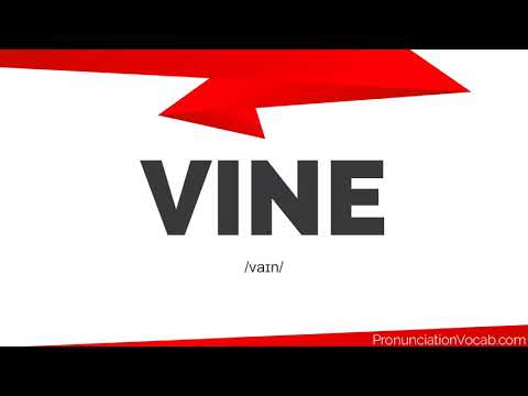 How To Pronounce Vine