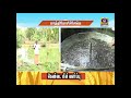 PON VILAIYUM BHOOMI SUCCESSFUL FARMER STORY 05 02 2020
