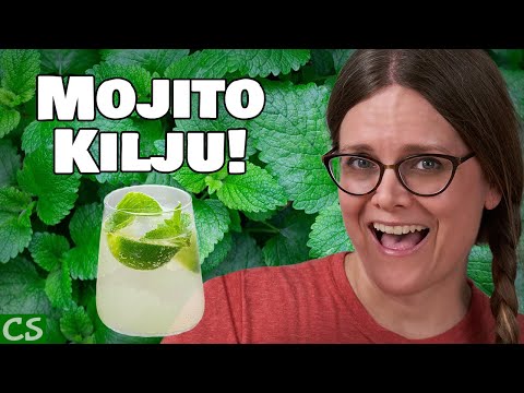 Kilju Recipe - Sugar Wine - Making Mojito Kilju