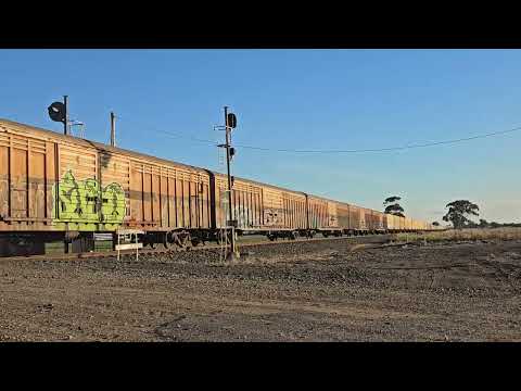 1PM9 SCT Grey Ghost to Melbourne, 1655, 31/7/21, Dooen VIC