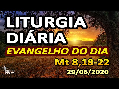 Liturgia Diária - Evangelho do Dia 29/06 - Homilia Diária e Reflexão da Palavra de Hoje